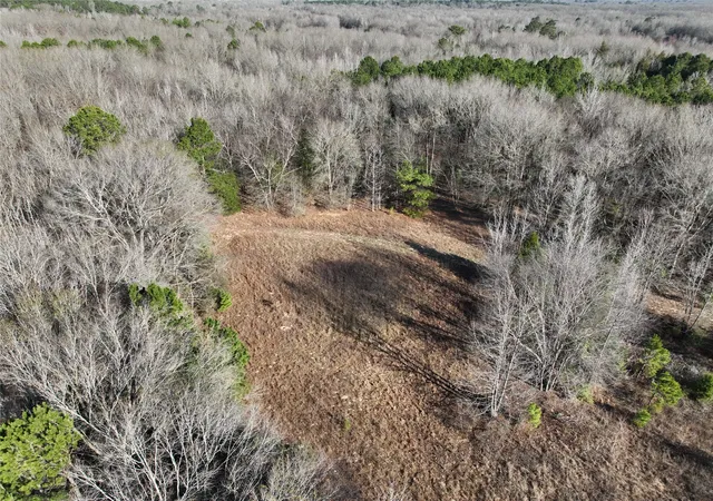 Photo 3 of Land for sale at Tbd County Road 3170, Quitman, TX 75783 | MLS# 21149889 | Listing updated on 2026-07-28