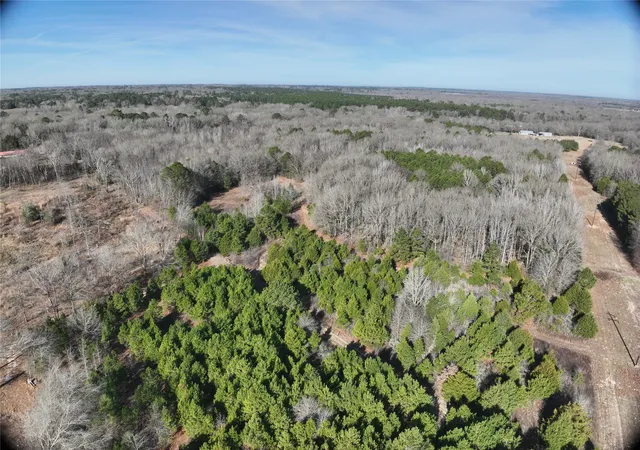 Photo 4 of Land for sale at Tbd County Road 3170, Quitman, TX 75783 | MLS# 21149889 | Listing updated on 2026-07-28