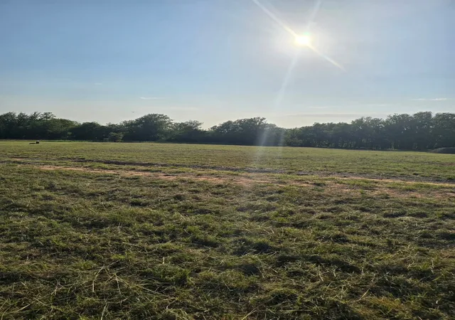 Homes for sale in Nocona, TX | 384 Red Oak Hills Rd, Nocona, TX 76255 | MLS# 21154473