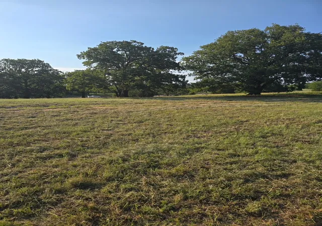 Homes for sale in Nocona, TX | 384 Red Oak Hills Rd, Nocona, TX 76255 | MLS# 21154473