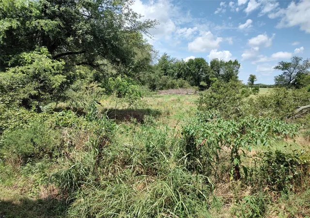 Homes for sale in Brashear, TX | Tbd County Rd 1119, Brashear, TX 75420 | MLS# 21154515