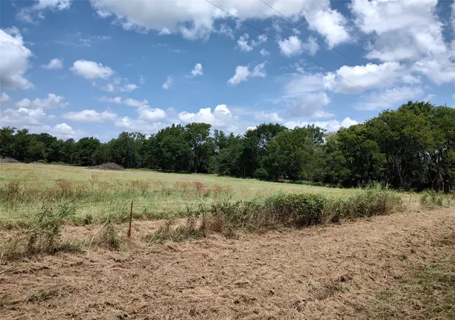 Homes for sale in Brashear, TX | Tbd County Rd 1119, Brashear, TX 75420 | MLS# 21154515