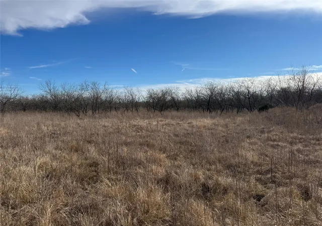 Photo 2 of Land for sale at 229acres Boren Private Road, Wortham, TX 76693 | MLS# 21143007 | Listing updated on 2026-08-27