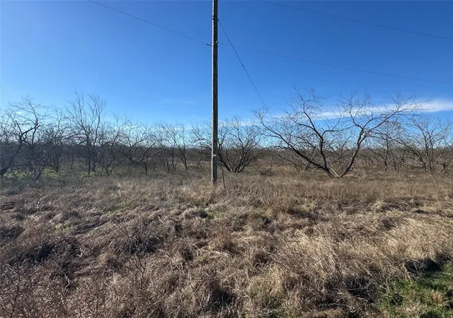 Photo 2 of Land for sale at 229Acres Boren Private Road, Wortham, TX 76693 | MLS# 21143007 | Listing updated on 2026-08-27