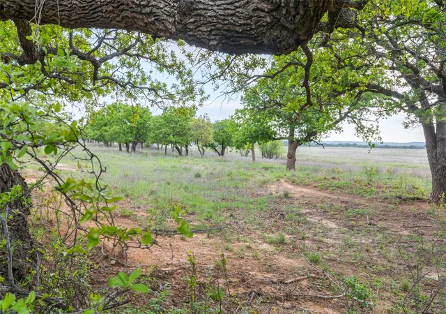 Photo 3 of Land for sale at 1034 County Road 207, Ovalo, TX 79541 | MLS# 21133168 | Listing updated on 2026-07-10