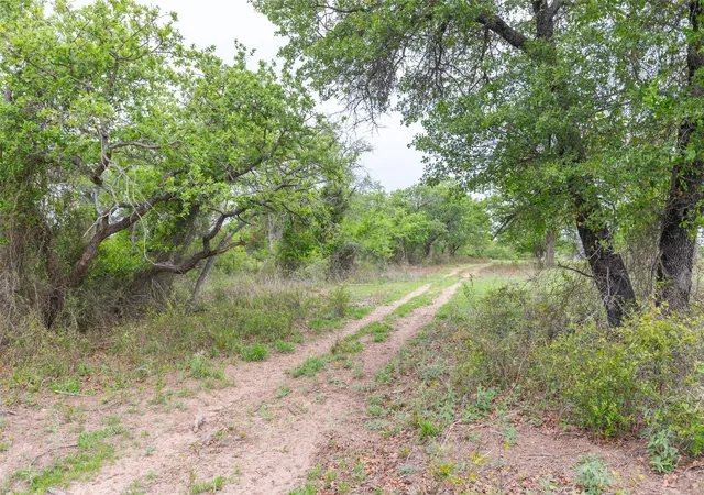 Photo 4 of House for sale at 1034 County Road 207, Ovalo, TX 79541 | MLS# 21133168 | Listing updated on 2026-07-10
