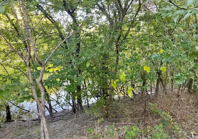 Photo 3 of Land for sale at 000 Harrell Rd, Howe, TX 75459 | MLS# 21155351 | Listing updated on 2026-09-21