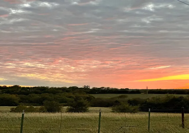 Photo 3 of Land for sale at 000 Harrell Rd, Howe, TX 75459 | MLS# 21155351 | Listing updated on 2026-09-21