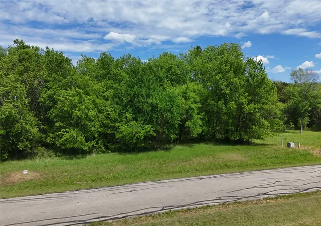 Photo 1 of Land for sale at Lot 194 Cobalt Cvs, Corsicana, TX 75109 | MLS# 21153442 | Listing updated on 2026-08-22