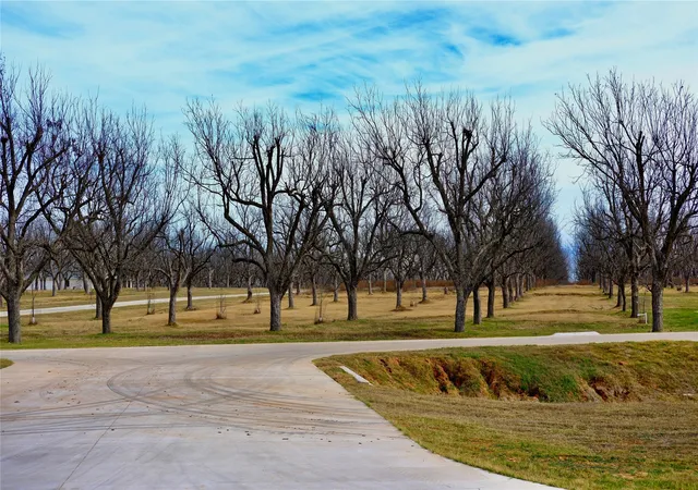 Photo 4 of Land for sale at 1700 Cirrus Loop, Granbury, TX 76049 | MLS# 21149723 | Listing updated on 2026-08-27