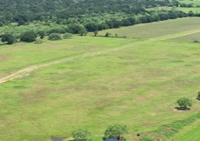 Homes for sale in Mineral Wells, TX | Lot 4 Hackberry Ln, Mineral Wells, TX 76067 | MLS# 21156874