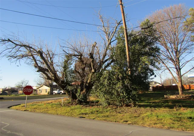 Photo 3 of Land for sale at 403 E Boyd Ave, Boyd, TX 76023 | MLS# 21154276 | Listing updated on 2026-08-27
