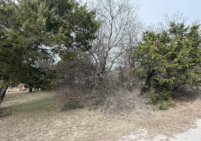 Homes for sale in Granbury, TX | 2208 Sabine St, Granbury, TX 76048 | MLS# 21157137