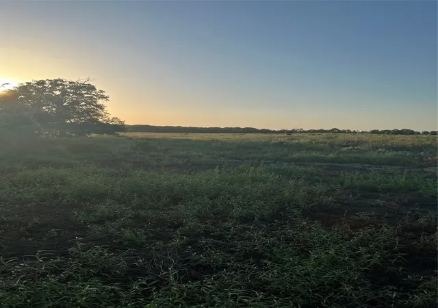 Photo 2 of Land for sale at 527 County Road 3351, Saltillo, TX 75478 | MLS# 21157773 | Listing updated on 2026-09-19