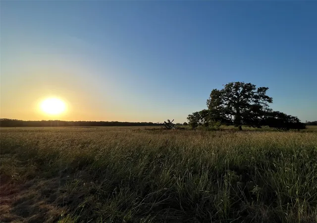 Photo 3 of Land for sale at 527 County Road 3351, Saltillo, TX 75478 | MLS# 21157773 | Listing updated on 2026-09-19