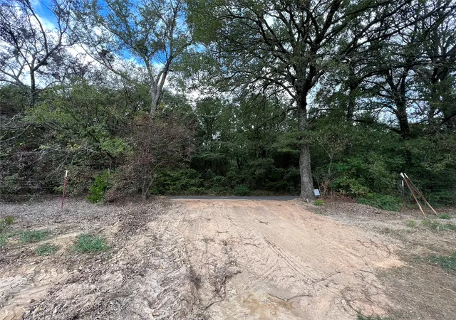Photo 3 of Land for sale at 527 County Road 3351, Saltillo, TX 75478 | MLS# 21157773 | Listing updated on 2026-09-19