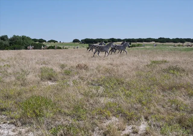 Photo 2 of Land for sale at Tract 2 County Road 208, Lampasas, TX 76550 | MLS# 21156626 | Listing updated on 2026-10-01