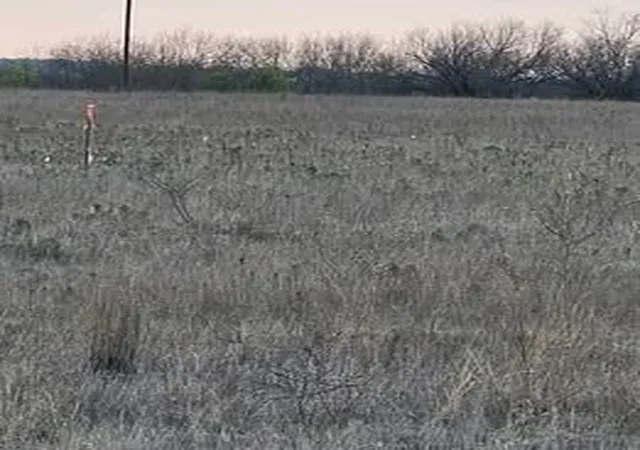 Photo 3 of Land for sale at 1105 Cr 611, Hamilton, TX 76531 | MLS# 21158247 | Listing updated on 2026-07-13