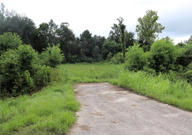 Photo 1 of Land for sale at 28 Ac Hwy 90, Devers, TX 77575 | MLS# 21156839 | Listing updated on 2026-07-14
