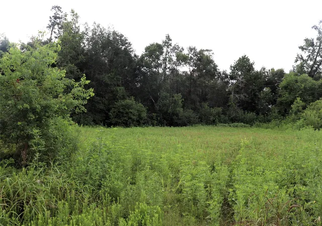 Photo 2 of Land for sale at 28 Ac Hwy 90, Devers, TX 77575 | MLS# 21156839 | Listing updated on 2026-07-14