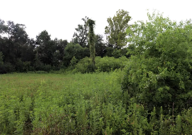 Photo 3 of Land for sale at 28 Ac Hwy 90, Devers, TX 77575 | MLS# 21156839 | Listing updated on 2026-07-14