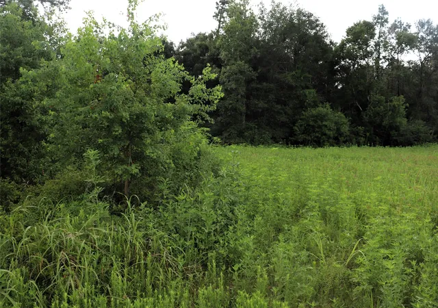 Photo 3 of Land for sale at 28 Ac Hwy 90, Devers, TX 77575 | MLS# 21156839 | Listing updated on 2026-07-14