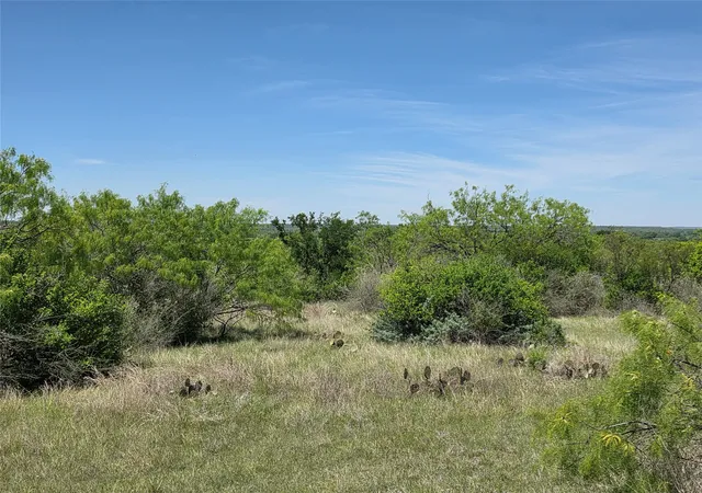 Photo 4 of House for sale at 10315 Fm 45, Richland Springs, TX 76871 | MLS# 21159878 | Listing updated on 2026-07-17