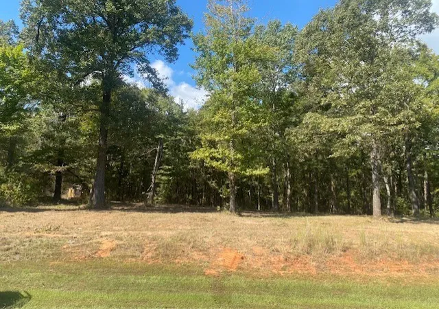 Homes for sale in Leesburg, TX | Lot 7r 1 N Private Road 52416 Road, Leesburg, TX 75451 | MLS# 21160770