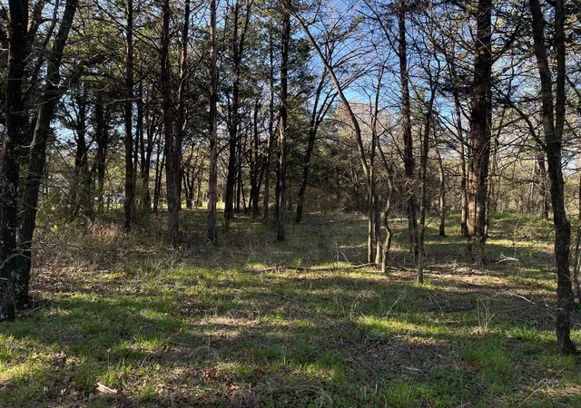 Photo 3 of Land for sale at Lot 101A Stonewolf Ct, Gordonville, TX 76245 | MLS# 21161197 | Listing updated on 2026-08-22