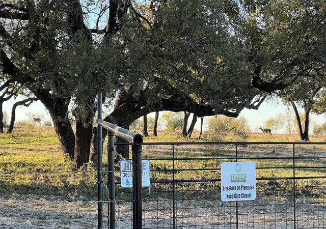 Homes for sale in Goldthwaite, TX | 277 N Cr 505, Goldthwaite, TX 76844 | MLS# 21161314