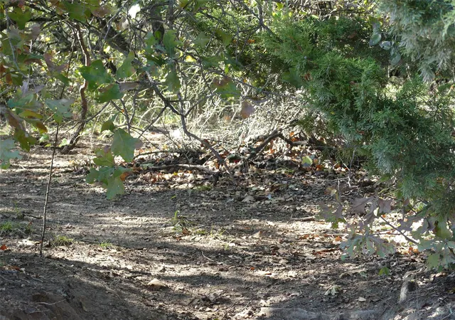 Photo 4 of Land for sale at 1746 Dog Kennel Rd, Sunset, TX 76270 | MLS# 21161700 | Listing updated on 2026-08-20