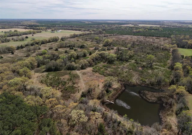 Homes for sale in Bagwell, TX | Tbd County Road S 2242, Bagwell, TX 75412 | MLS# 21159640