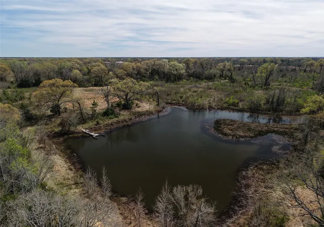 Homes for sale in Bagwell, TX | Tbd County Road S 2242, Bagwell, TX 75412 | MLS# 21159640