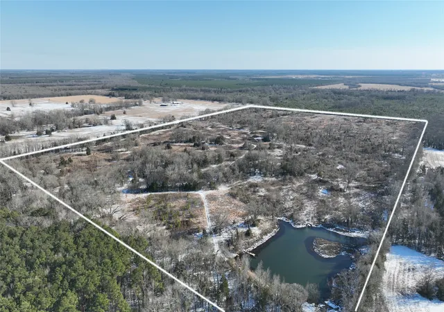 Homes for sale in Bagwell, TX | Tbd County Road S 2242, Bagwell, TX 75412 | MLS# 21159640