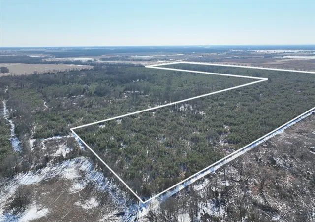 Homes for sale in Bagwell, TX | Tbd County Road 2242, Bagwell, TX 75412 | MLS# 21161857