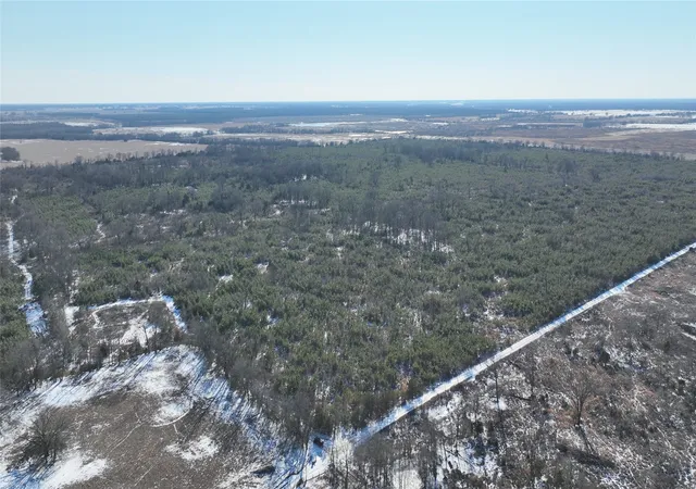 Homes for sale in Bagwell, TX | Tbd County Road 2242, Bagwell, TX 75412 | MLS# 21161857