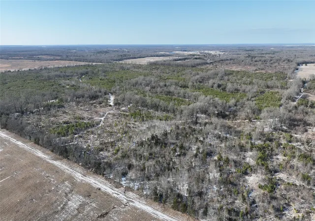 Homes for sale in Bagwell, TX | Tbd County Road 2242, Bagwell, TX 75412 | MLS# 21161857