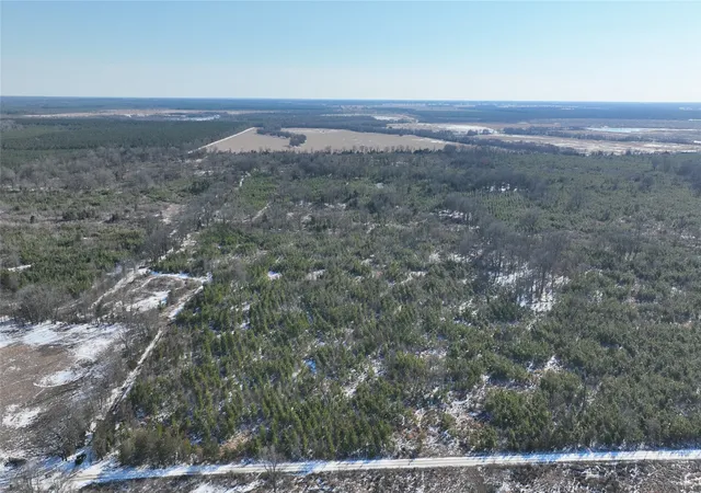 Homes for sale in Bagwell, TX | Tbd County Road 2242, Bagwell, TX 75412 | MLS# 21161857