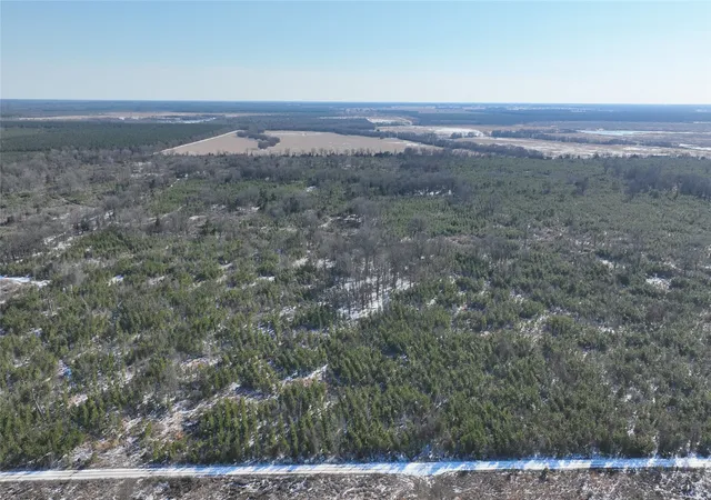 Homes for sale in Bagwell, TX | Tbd County Road 2242, Bagwell, TX 75412 | MLS# 21161857