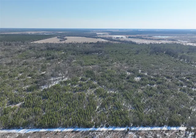 Homes for sale in Bagwell, TX | Tbd County Road 2242, Bagwell, TX 75412 | MLS# 21161857