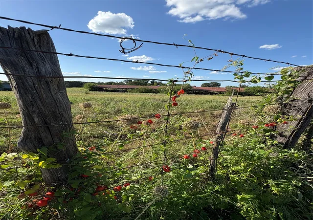 Photo 3 of Land for sale at 101 Cr 101, Marlin, TX 76661 | MLS# 21162022 | Listing updated on 2026-07-13