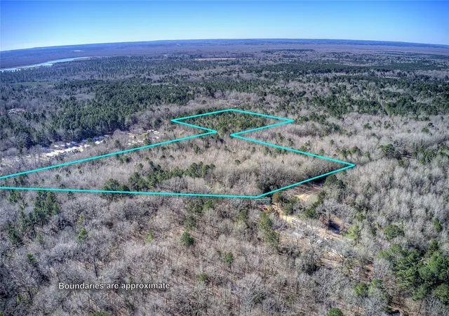 Homes for sale in Hawkins, TX | Tbd County Road 3460, Hawkins, TX 75765 | MLS# 21158491