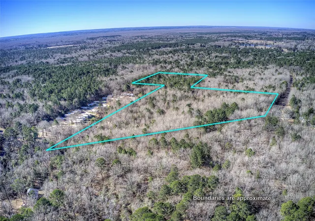 Homes for sale in Hawkins, TX | Tbd County Road 3460, Hawkins, TX 75765 | MLS# 21158491