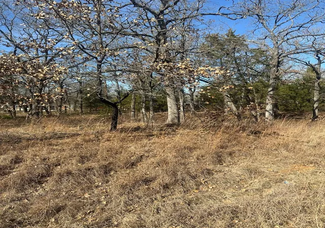 Homes for sale in Mabank, TX | 176 Oak Trail St, Mabank, TX 75156 | MLS# 21162610