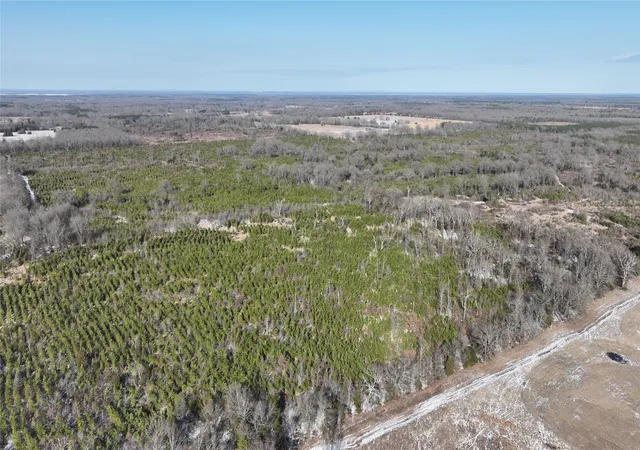 Homes for sale in Bagwell, TX | Tbd County Rd 2242 S, Bagwell, TX 75412 | MLS# 21163301