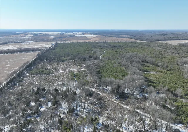 Homes for sale in Bagwell, TX | Tbd County Rd 2242 S, Bagwell, TX 75412 | MLS# 21163301