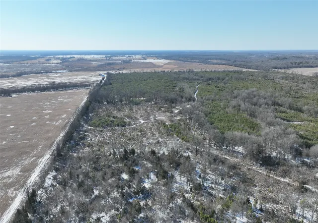 Homes for sale in Bagwell, TX | Tbd County Rd 2242 S, Bagwell, TX 75412 | MLS# 21163301