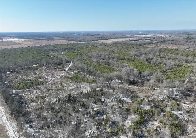 Homes for sale in Bagwell, TX | Tbd County Rd 2242 S, Bagwell, TX 75412 | MLS# 21163301