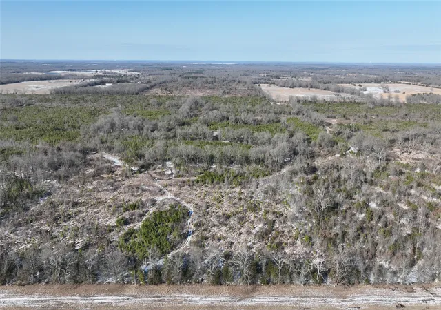 Homes for sale in Bagwell, TX | Tbd County Rd 2242 S, Bagwell, TX 75412 | MLS# 21163301