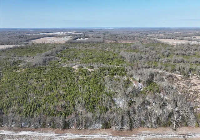 Homes for sale in Bagwell, TX | Tbd County Rd 2242 S, Bagwell, TX 75412 | MLS# 21163301